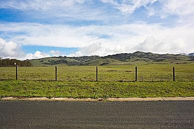 英国最新一周实体游戏排行：《碧海黑帆》首发第四