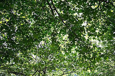 传《GTA6》仅想以7500美元买断歌曲使用权 被骂